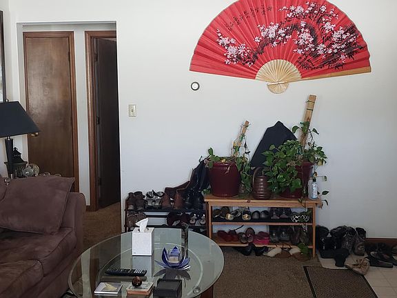 Living room and entrance