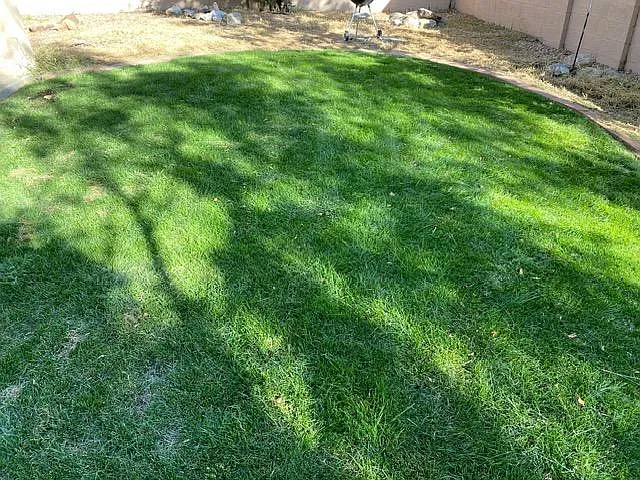 12708 Sunset Ridge Pl NE — Photo 17