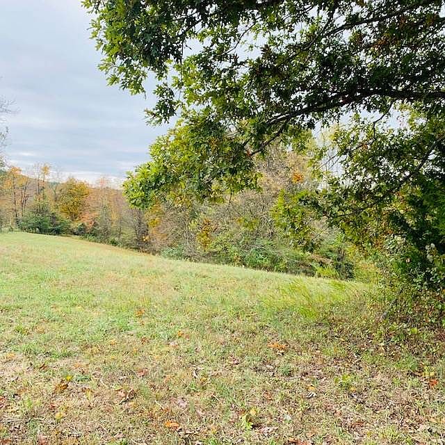 2nd image of 1741 Pointe Dr #0