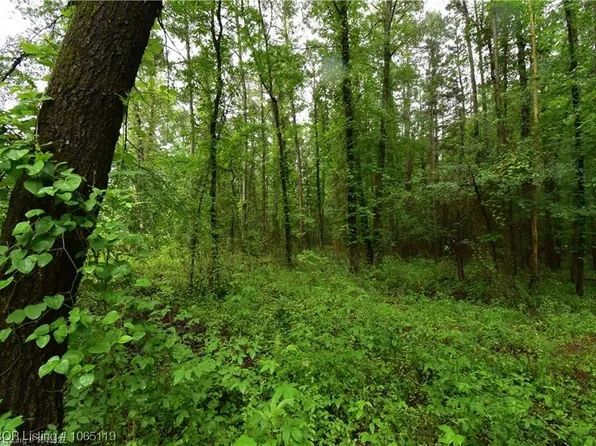 47 Acres Bethel Rd, Magazine, AR 72943