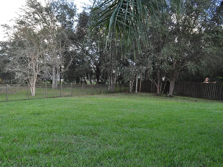 Backyard view