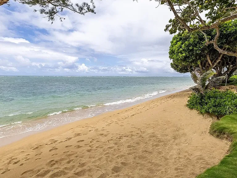 53-549 Kamehameha Hwy #319 — Photo 18