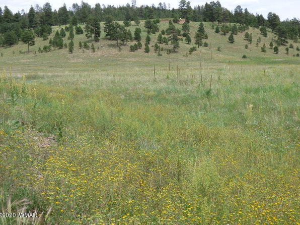 LOT-25A The Rnch #AT, Alpine, AZ 85920