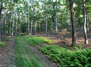 519.36 Acs Trough Rd, Moorefield, WV 26836