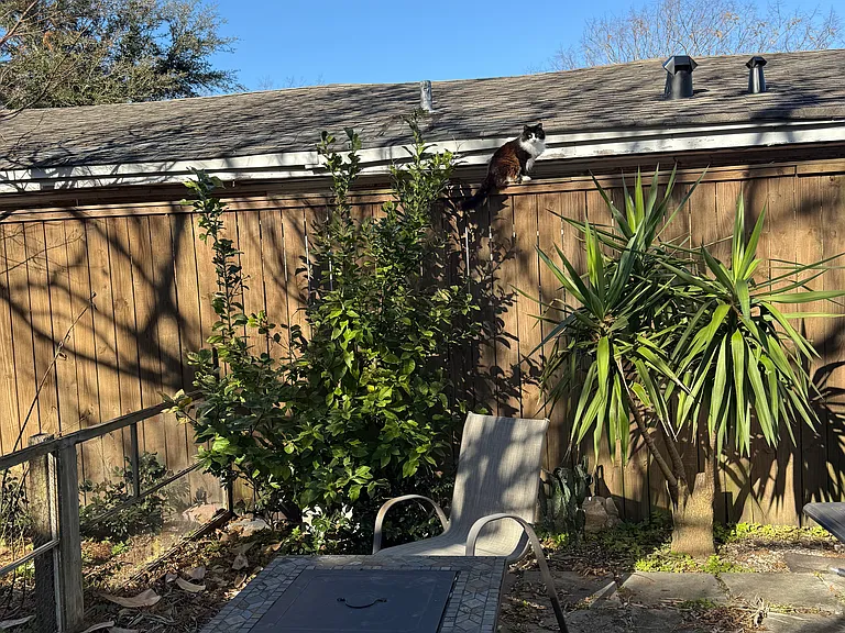 812 Delery St — Photo 15