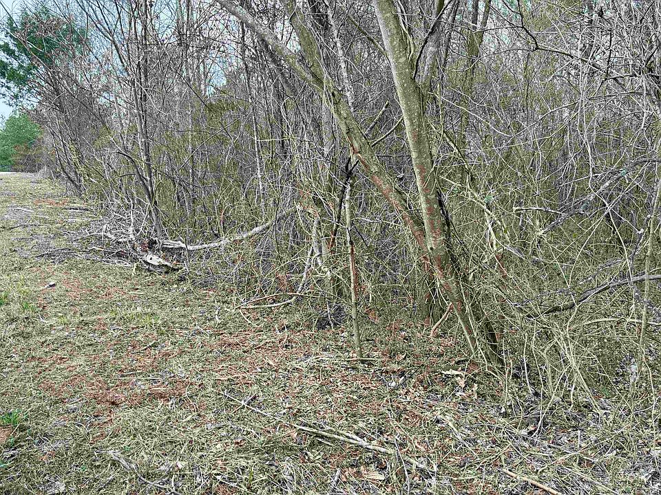 2nd image of 0 James N Hovater Rd