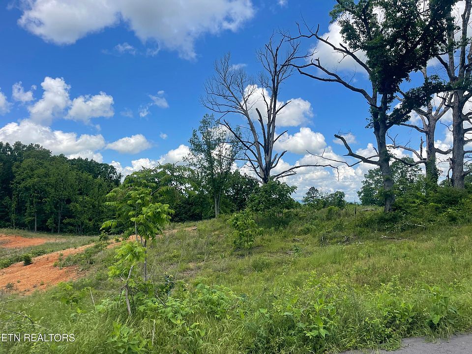 2nd image of LOT 11 Laura Boling Loop Rd