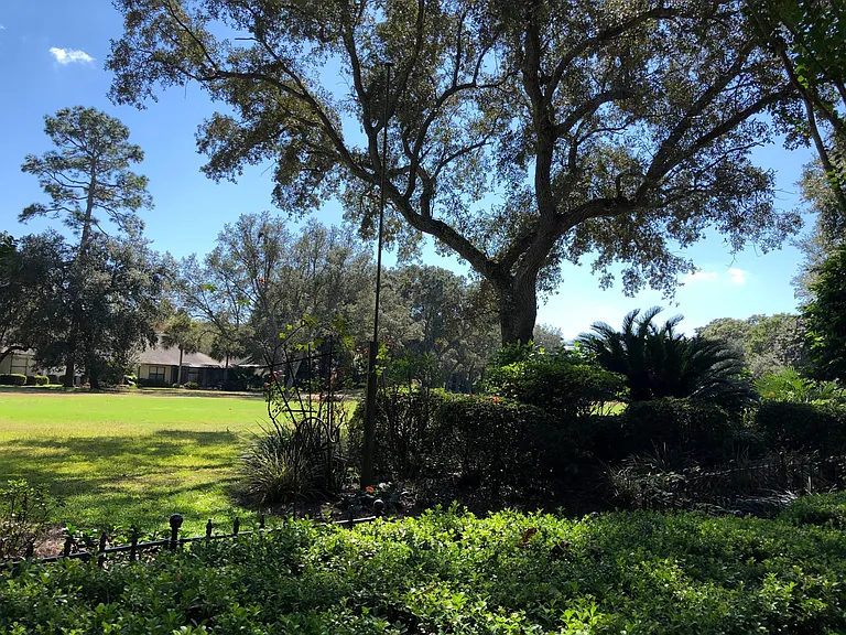 View from back patio