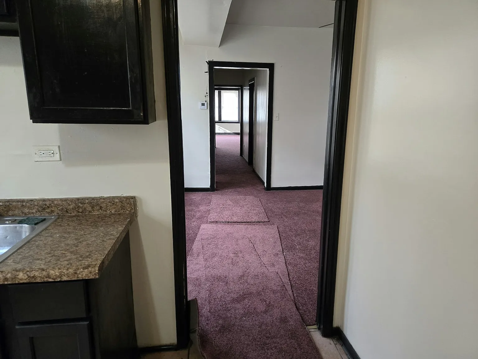 6329 South Loomis Boulevard, Unit 2 — Photo 3