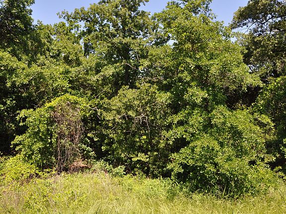5th image of 8600 Del Pino Ct