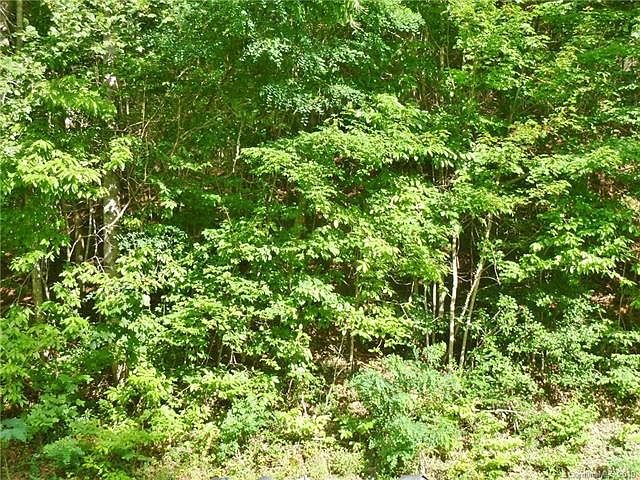 1st image of 1232 Panther Creek Rd