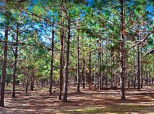 0 County Road 18 Lot 4-3, Headland, AL 36345