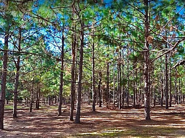 0 County Road 18 Lot 4-3, Headland, AL 36345