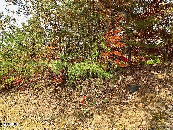 4th image of 2753 Murray Ridge Rd
