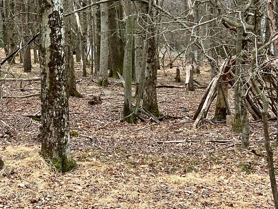 2nd image of N Old Stage Rd