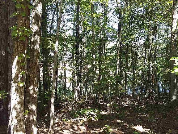 2nd image of Panorama Dr
