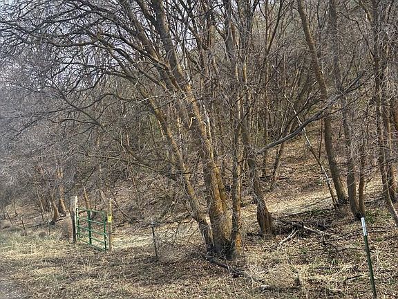 3rd image of N Canyon Rd