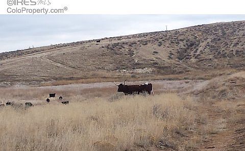 5th image of 3669 W County Road 80
