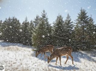 3 Spruce Hollow Trce, Fife Lake, MI 49633