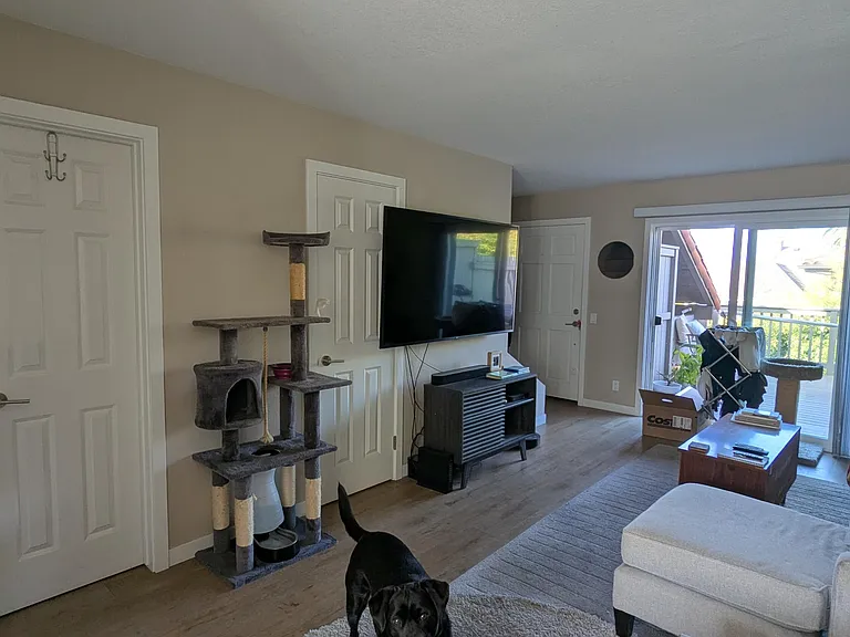 515 E Arrellaga St #4 — Photo 6