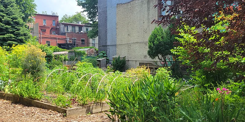 Rented by Senator Realty Estates Inc | media 15