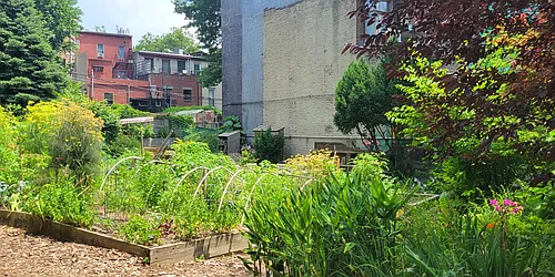 Rented by Senator Realty Estates Inc