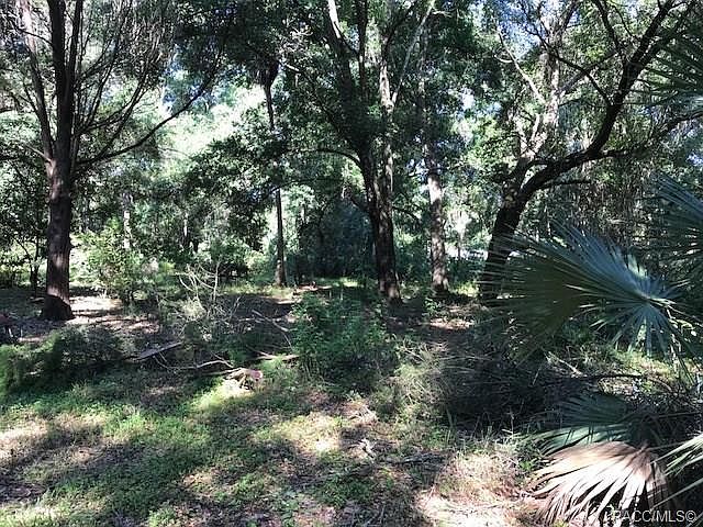 2nd image of 80 N Candle Point