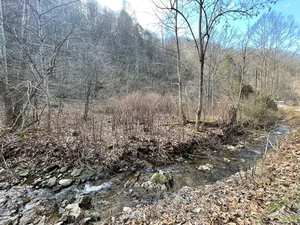 1634 Coon Branch Rd, Grundy, VA 24614