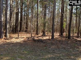 120 Carteret Ln, Chapin, SC 29036