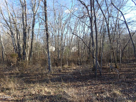 5th image of 2000 Okmulgee Ln