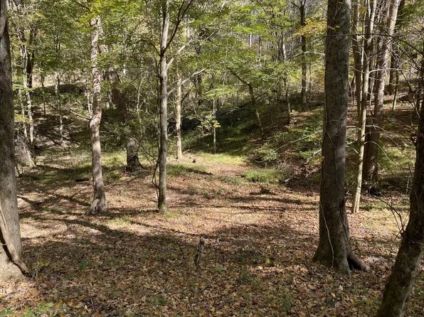 0 Griffs Hollow Ln Lot 2, Bethpage, TN 37022