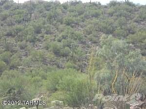 Sloped property faces east