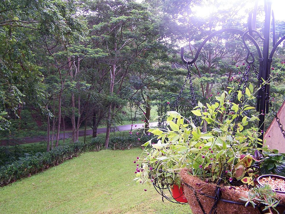 View from Living Room Balcony