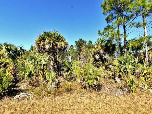 FIVELEAF ROAD LOT 34, NORTH PORT, FL 34288