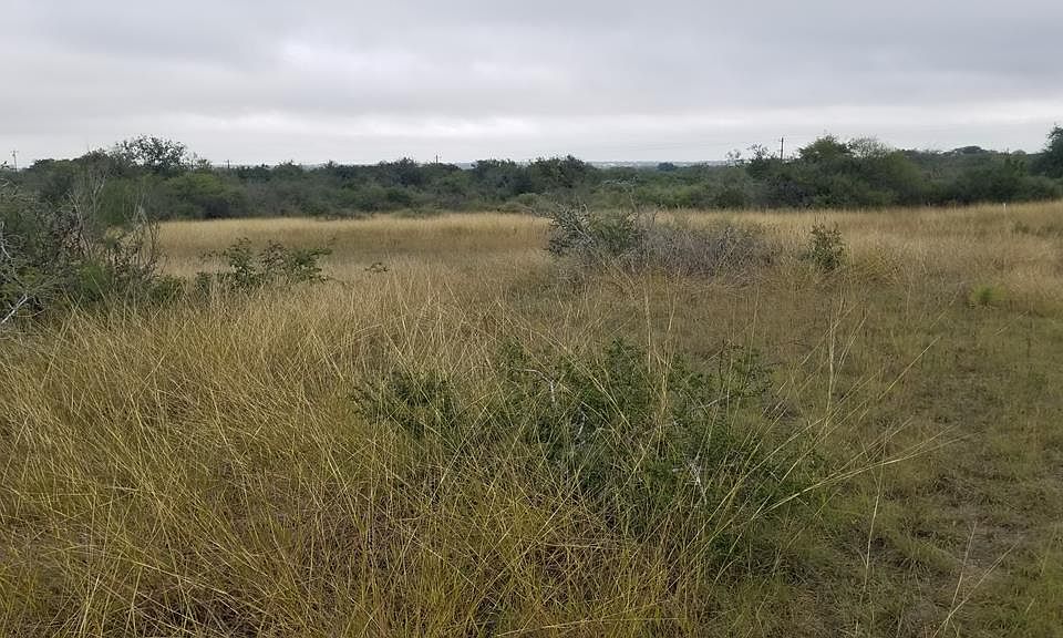 8091 Chesnutt Ln, Tuleta, TX 78162 MLS 112793 Zillow