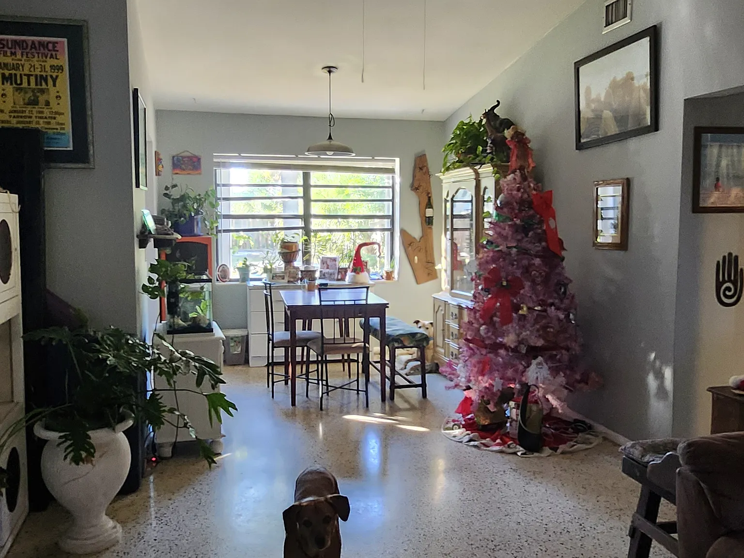 113 Niemira Ave — Photo 2