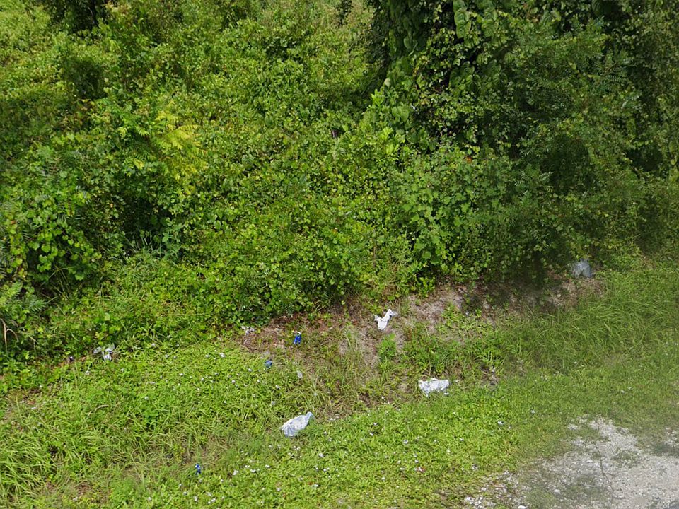2nd image of 250 Rutgers Rd