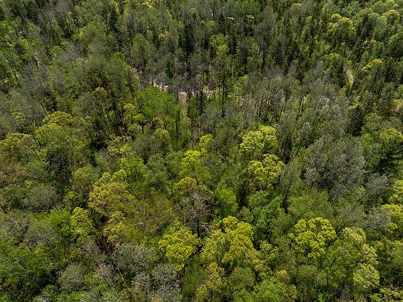 4th image of Hidden Creek Ct