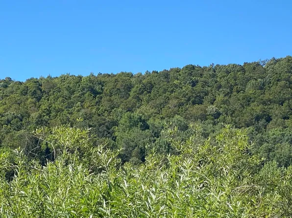 0 County Highway 14, East Meredith, NY 13757