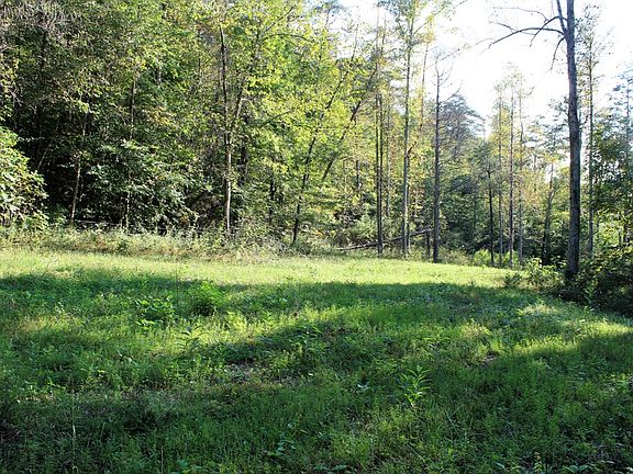 Small field behind the cabin, perfect for a food plot