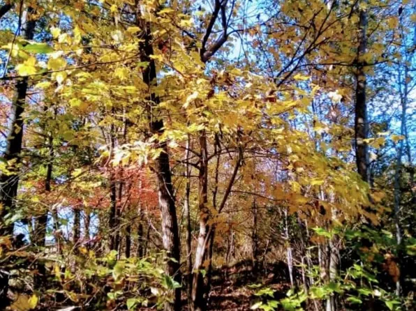 000000 Potter Rd, Waxhaw, NC 28173