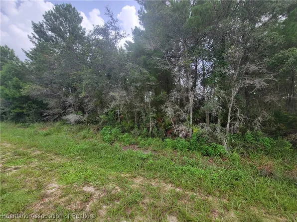 240 Jack Weisser Blvd, Lake Placid, FL 33852
