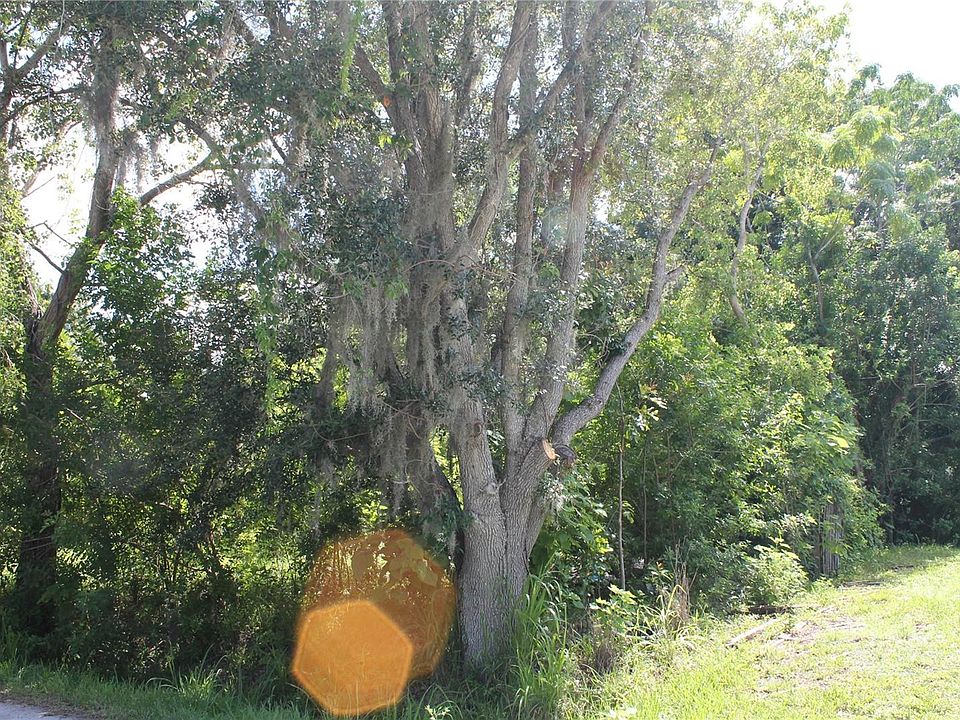 2nd image of 4206 Brazilnut Ave