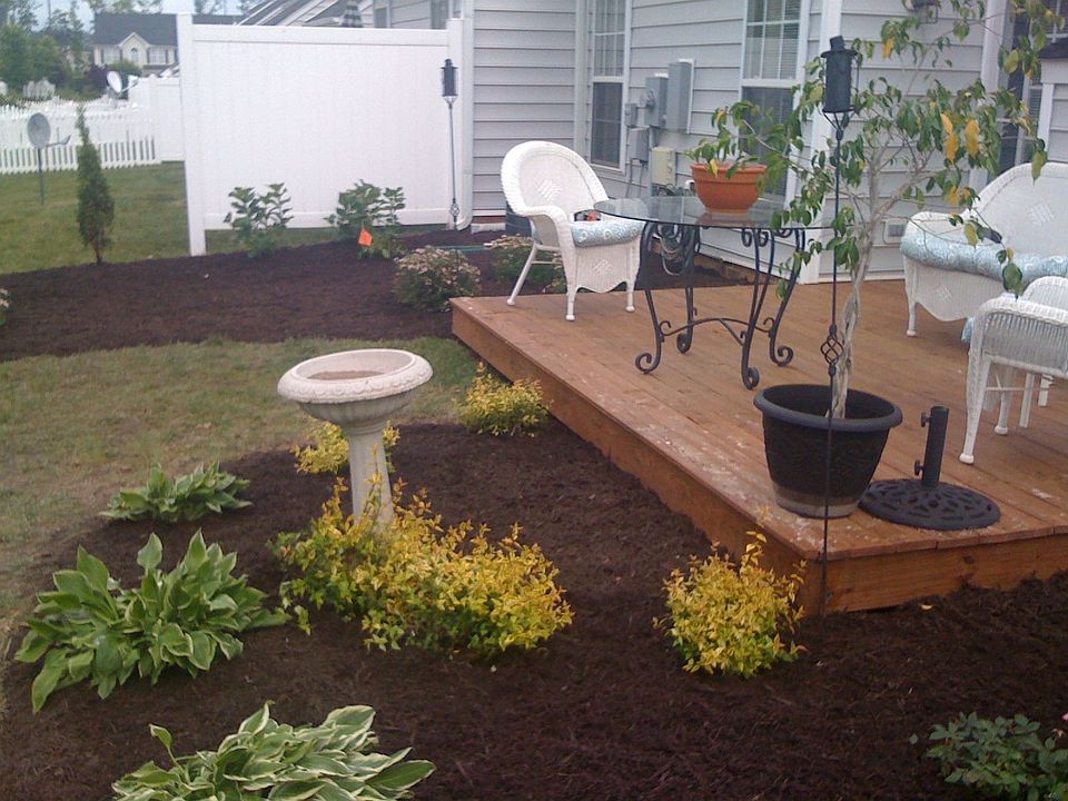 Landscaped rear yard