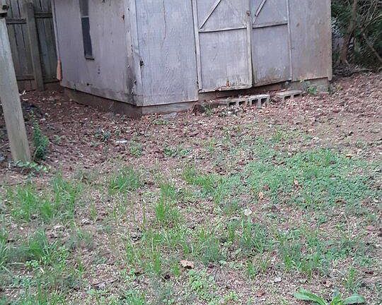5th image of 6338 Stablewood Way #10