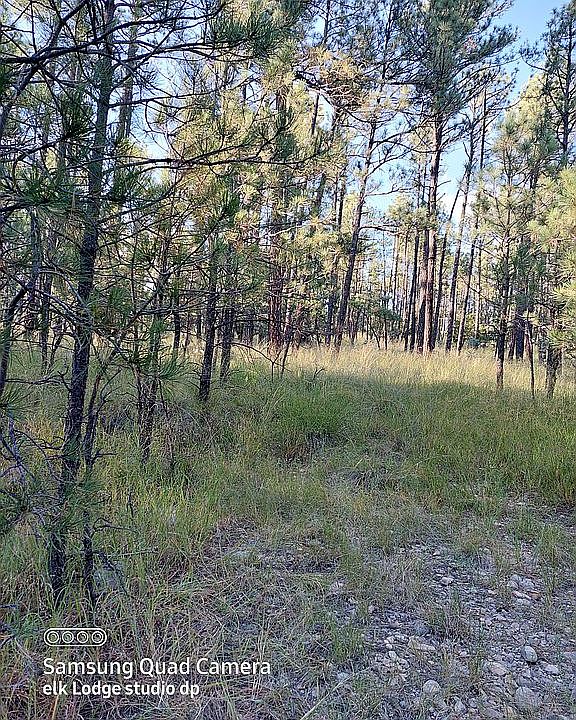 1st image of 128 Bahamas Dr