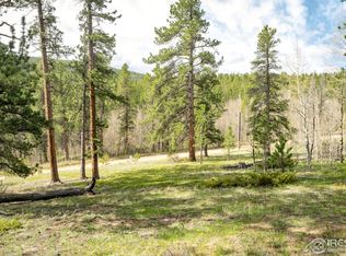 665 Cabin Creek Rd, Allenspark, CO 80510