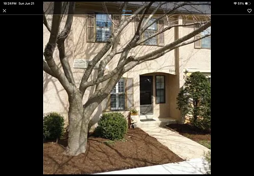 2205 Winterbridge Ln Photo 1