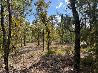 Acacia Dr LOT 144, Interlachen, FL 32148