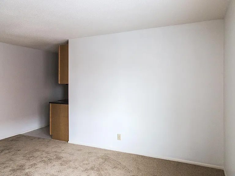 Dining/Living room